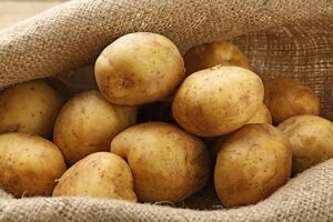 Хранение картофеля: как хранить вкусный урожай